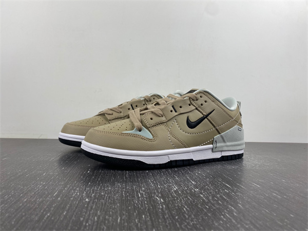 Nike Dunk Disrupt
